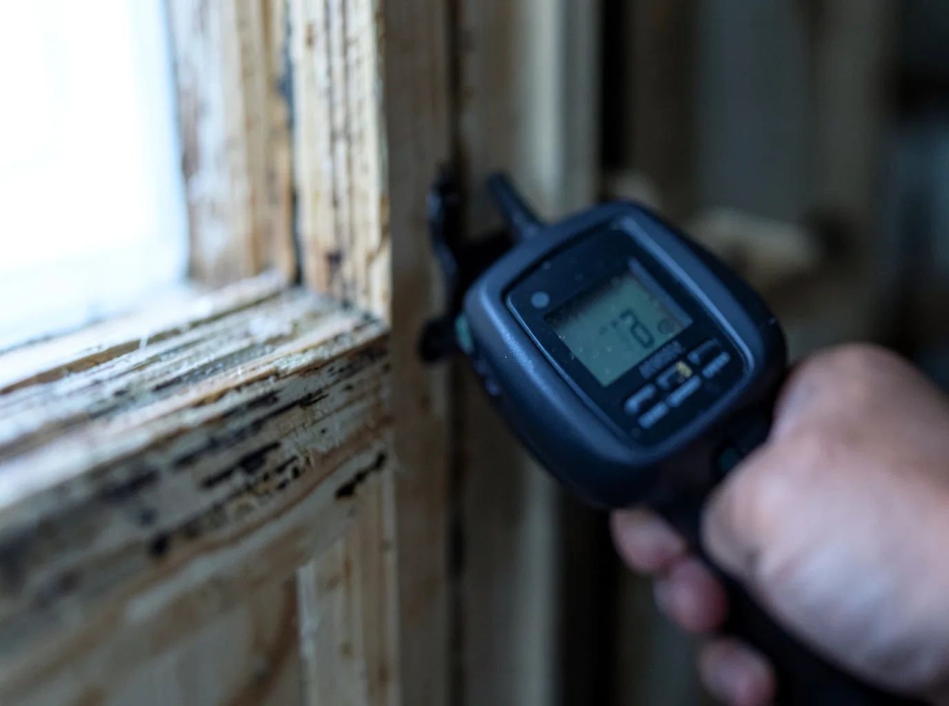 Moisture Inspection And Documentation in Rogers, NE
